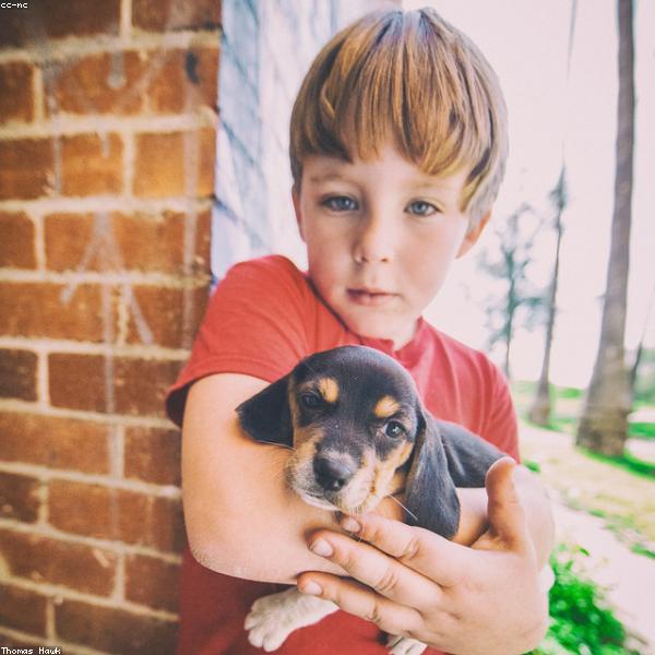Nash, a Beagle Mix